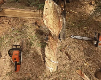 Tronco sendo esculpido, com motosserras ao lado